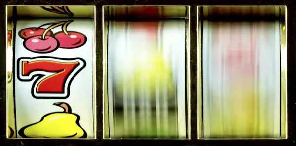 ulartoto togel Bingo